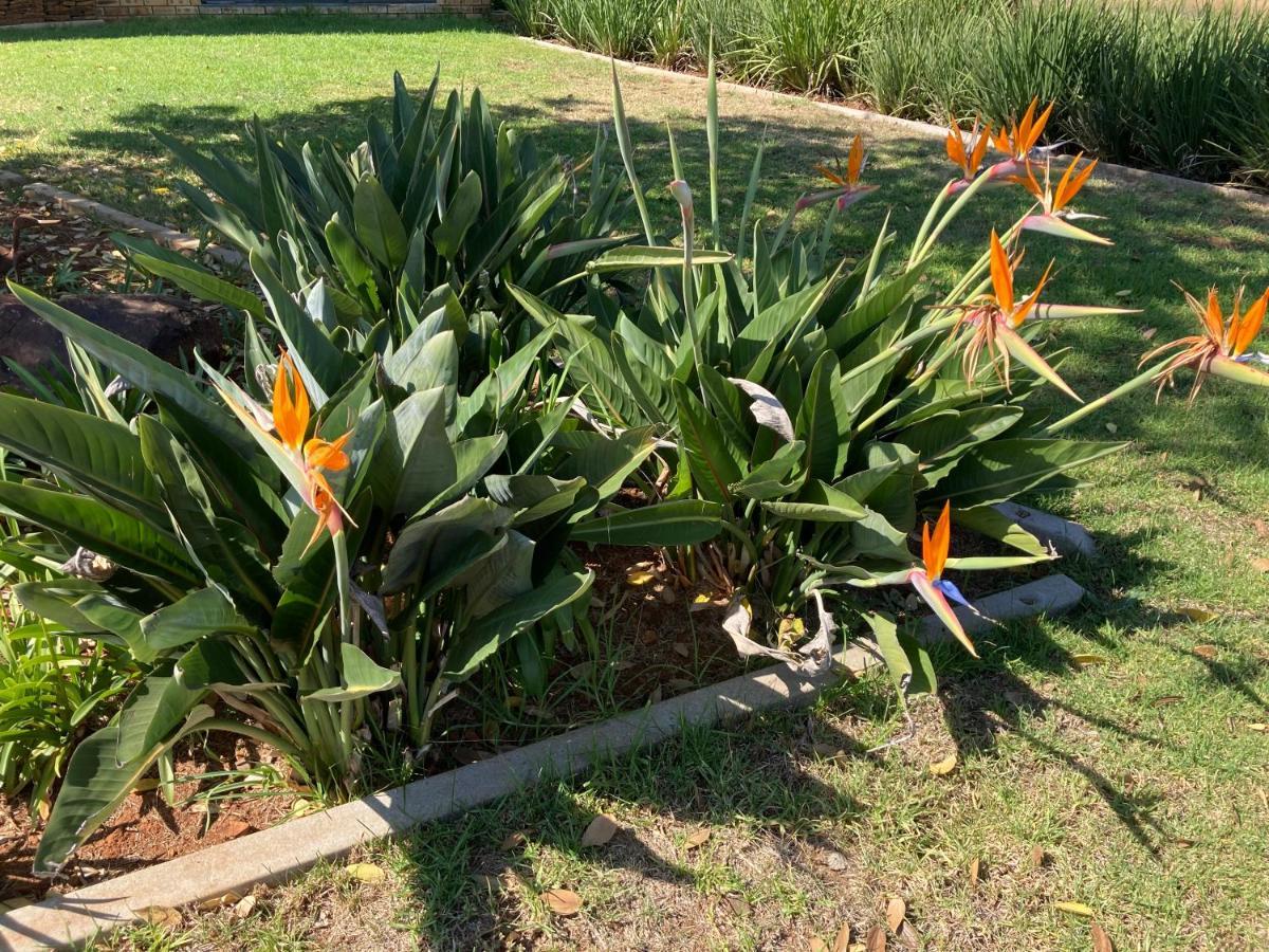 The Vaal Guesthouse Oranjeville Luaran gambar