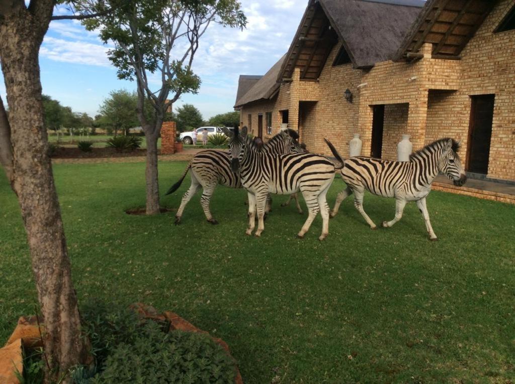 The Vaal Guesthouse Oranjeville Luaran gambar