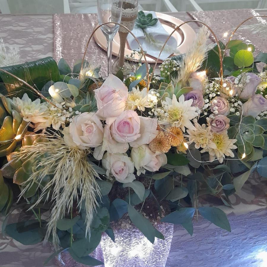 The Vaal Guesthouse Oranjeville Luaran gambar